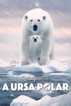 A Ursa Polar